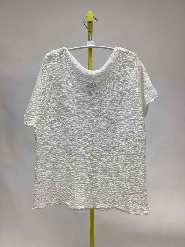 Size M Eileen Fisher Women's Shirt