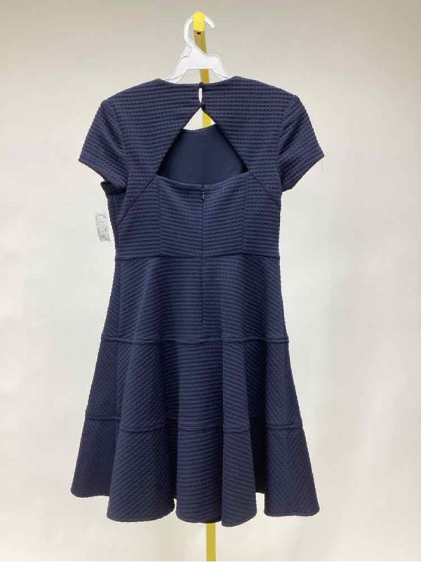 Size 2P Eliza J Women's Dress