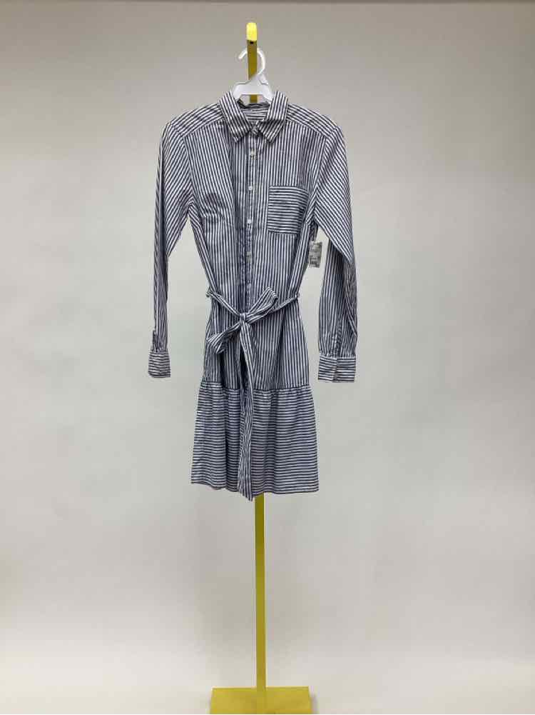 Size XS Loft Women's Dress