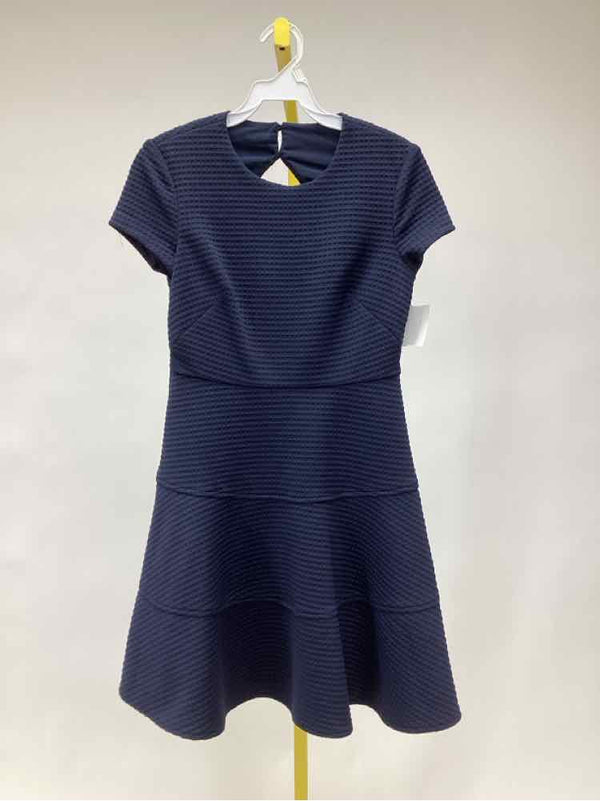 Size 2P Eliza J Women's Dress