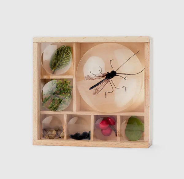 Huckleberry Discovery Toy