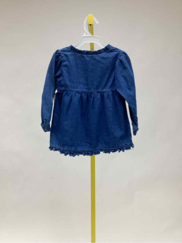 DDG Darlings Blue Print Child Size 4T Girl's Long Sleeved Tops