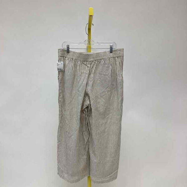 Size XL Max Studio Women's Pants