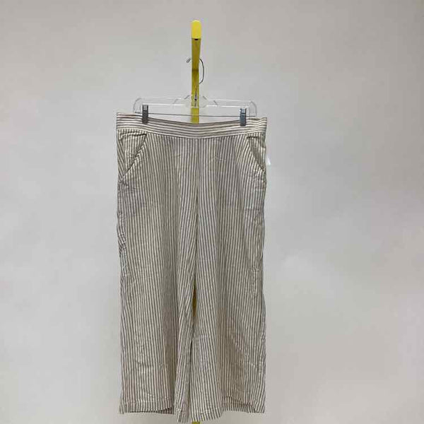 Size XL Max Studio Women's Pants